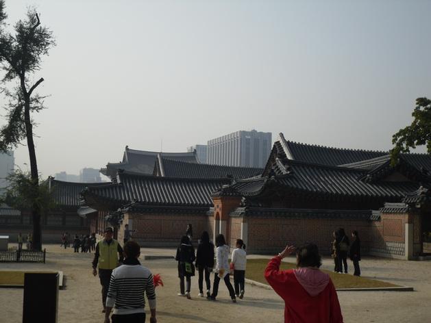 SDC13971_resize.JPG
